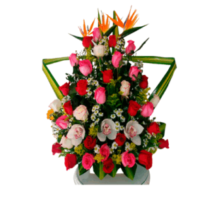 Floristería ENCANTO Bucaramanga