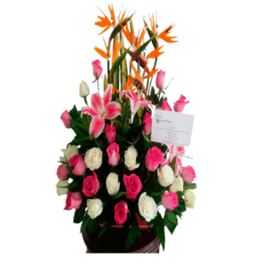Flores Y Detalles Bucaramanga