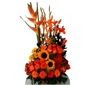 Daflores Bucaramanga