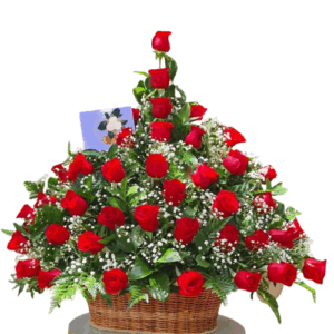 FLORISTERIA FEILENA BUCARAMANGA