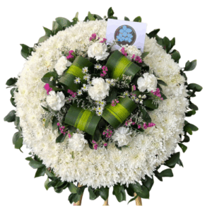 FUNERARIA SAN PEDRO BUCARAMANGA