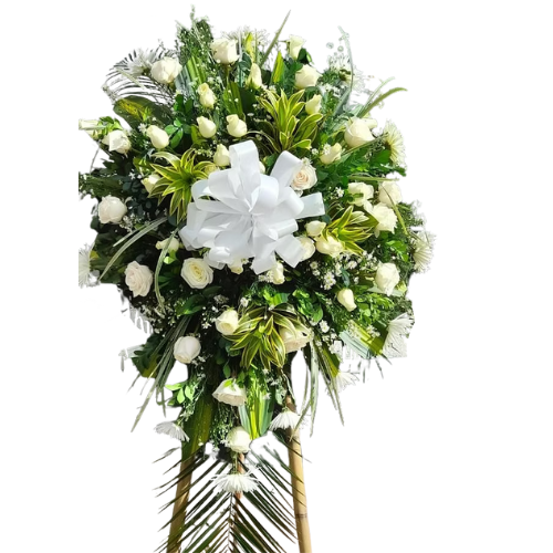 Jardines La Colina Bucaramanga Jardines La Colina Bucaramanga